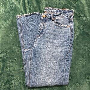 American Eagle Outfitters Blue Straight Leg Jeans